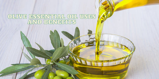 Olive Essential Oil Uses and Benefits - OotyMade.com
