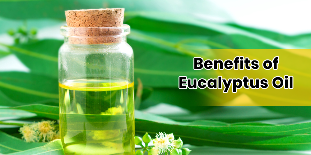 Benefits of Eucalyptus Oil