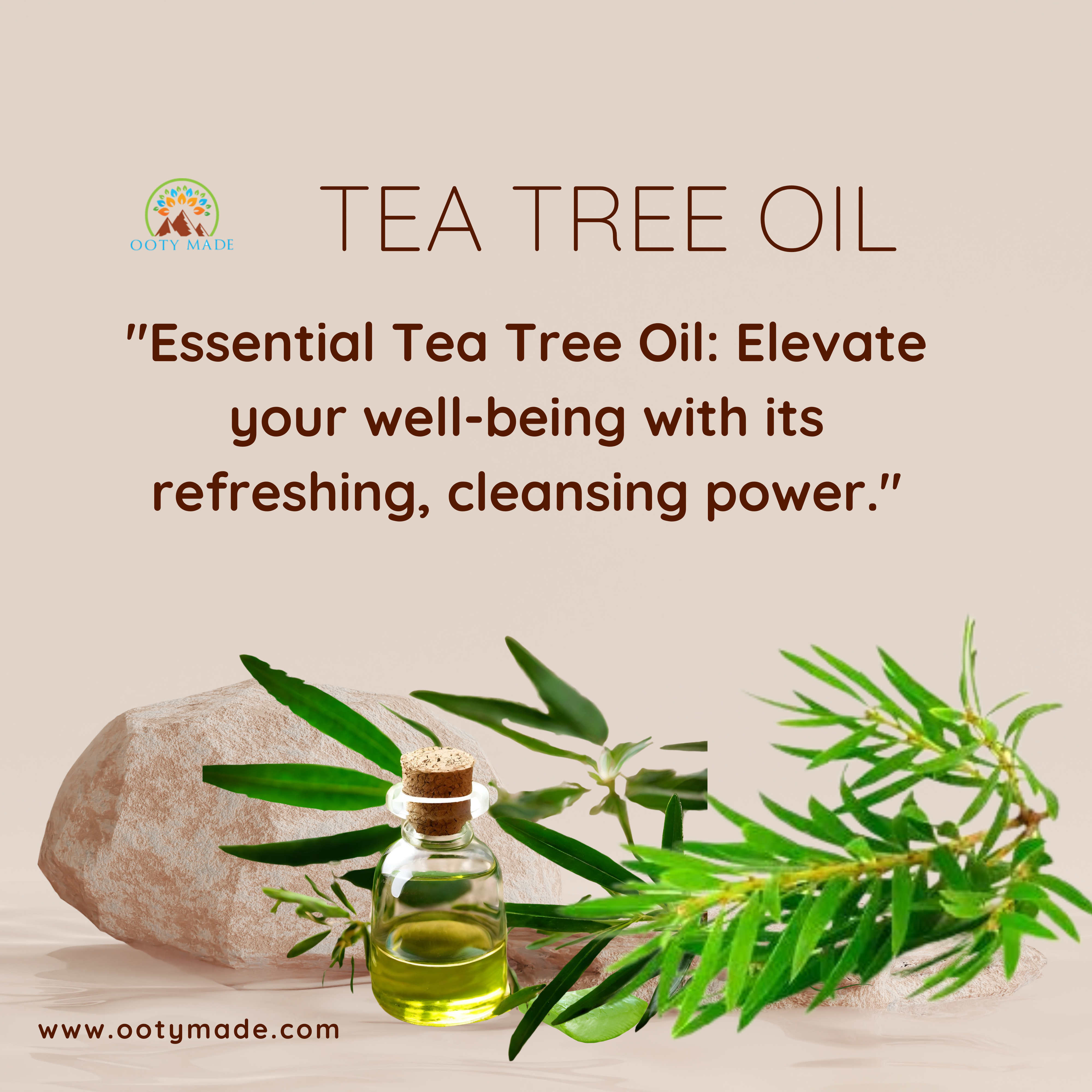 Premium Nilgiri Tea Tree Oil - Your Ultimate Solution for Clear, Radiant Skin and Lustrous Hair