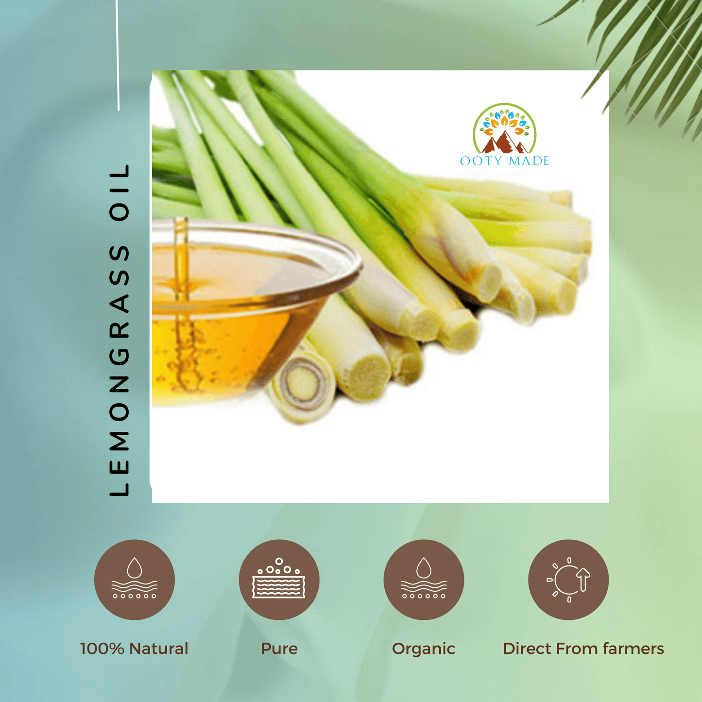Organic Lemongrass Essential Oil In India OotyMade.com