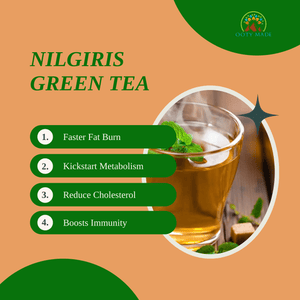 Organic green tea for metabolism