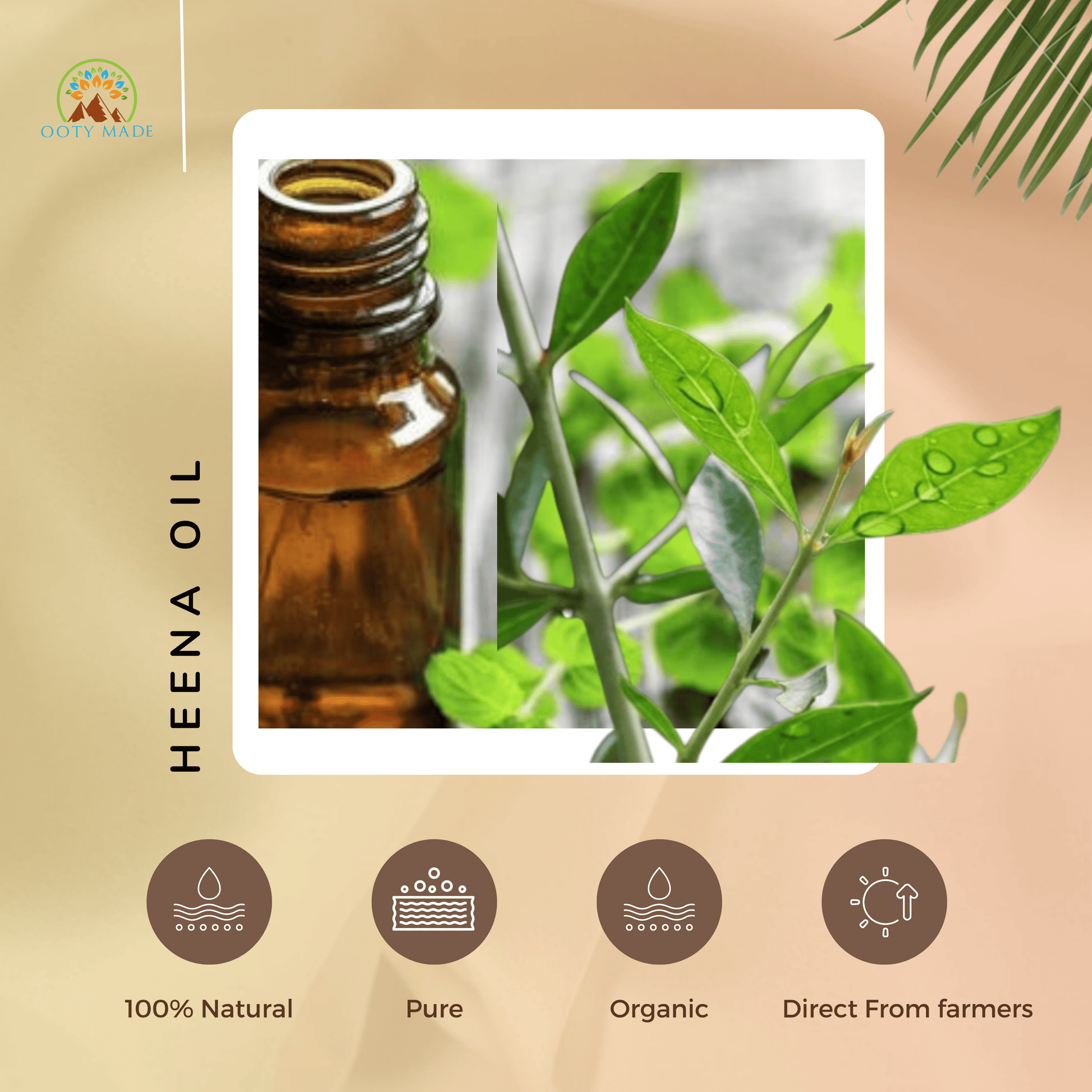 Heena Essential Oil from Ooty the Nilgiris OotyMade.com
