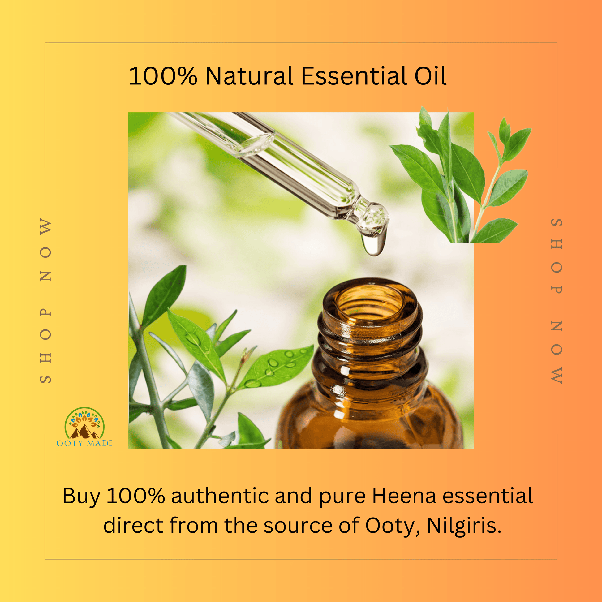Heena Essential Oil from Ooty the Nilgiris OotyMade.com