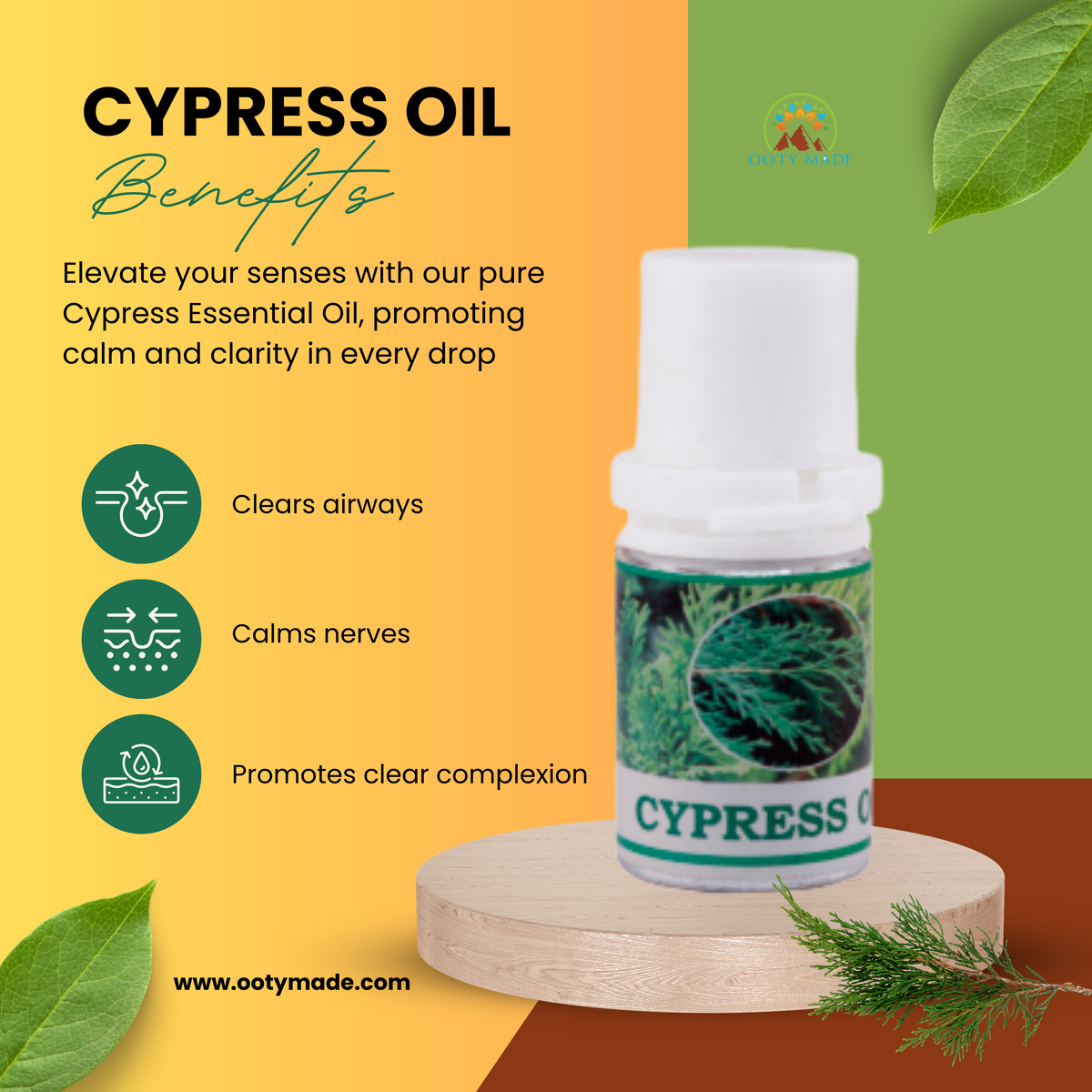Buy Cypress Oil Online Natural Essential Oil for Varicose Veins
