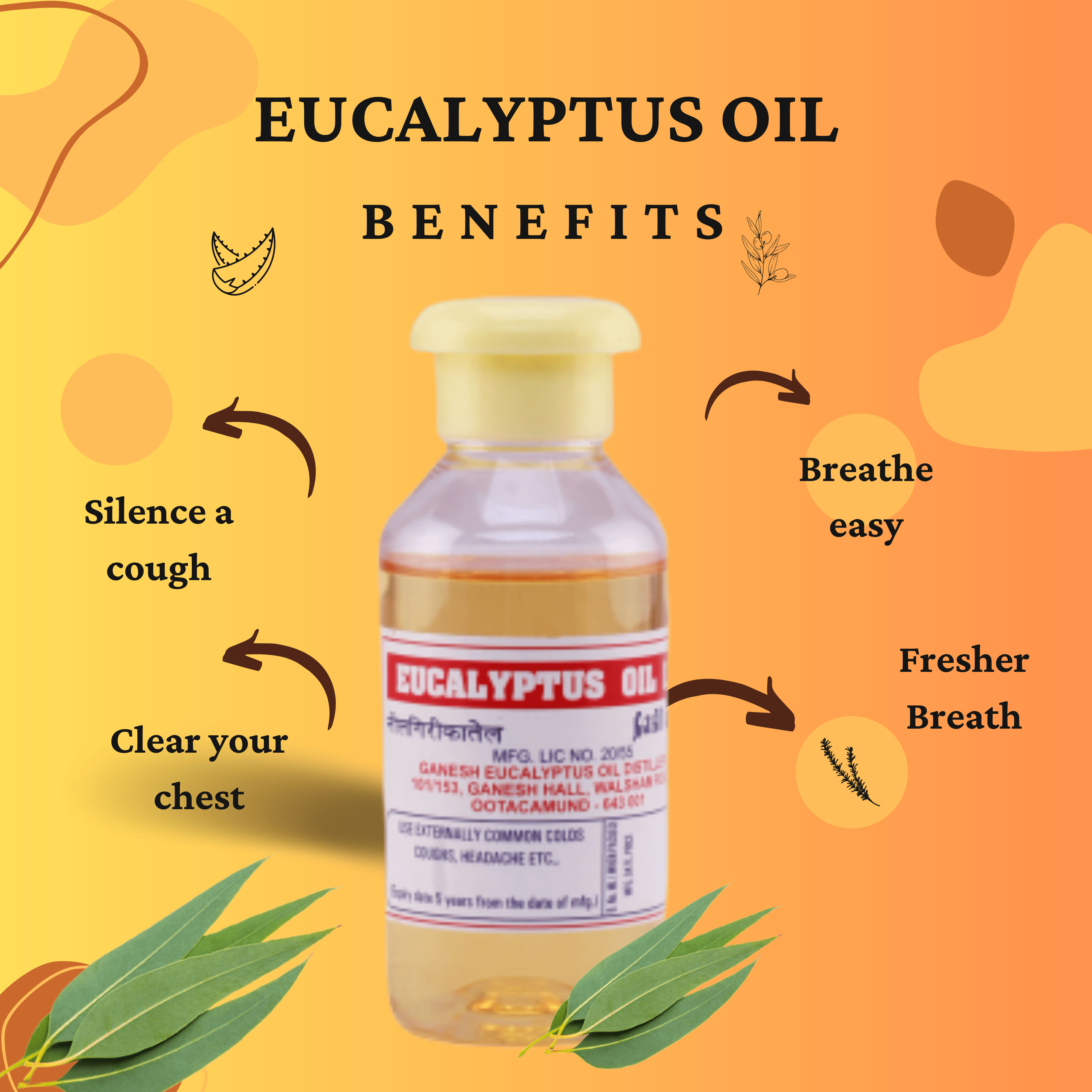 eucalyptus oil uses