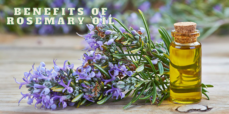 Unlock the Secret to Luscious Locks with Rosemary Oil: A Comprehensive Guide