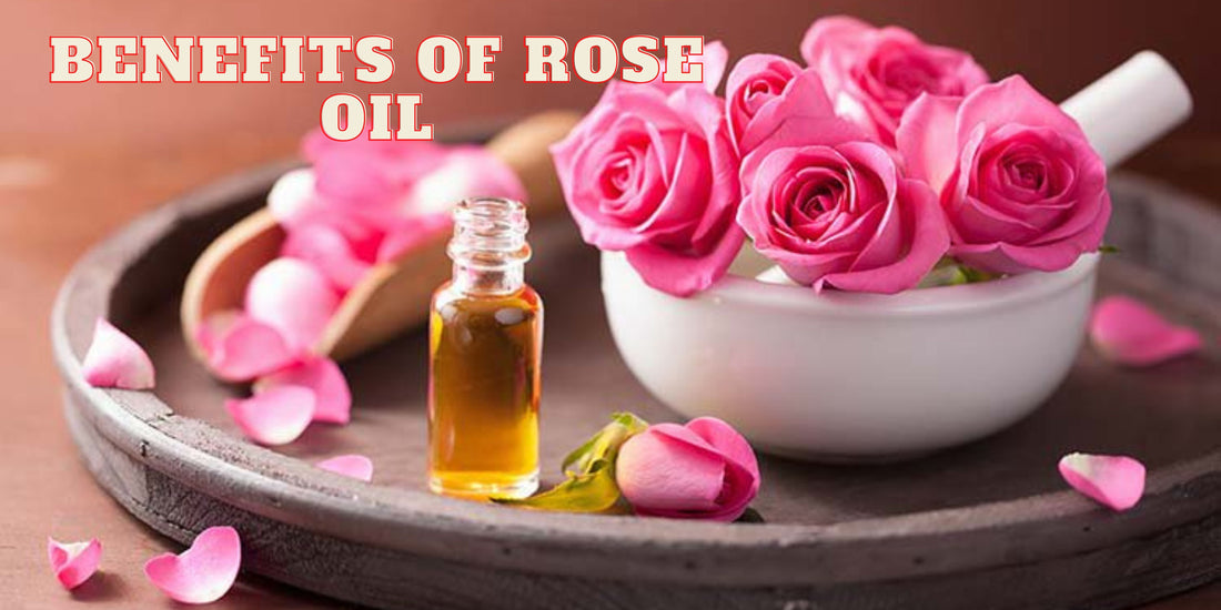 Uses and Befefits of Rose Oil - OotyMade.com