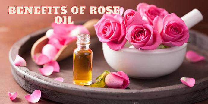 Uses and Befefits of Rose Oil