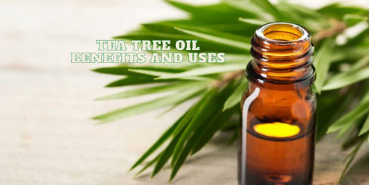 Tea Tree Oil uses and Benefits - OotyMade.com