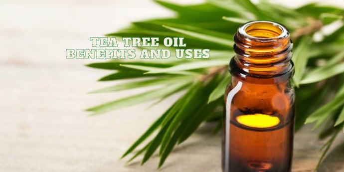 Tea Tree Oil uses and Benefits