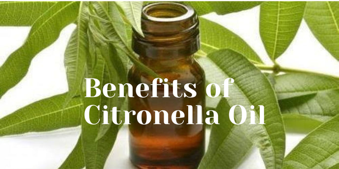 Benefits of Citronell Oil