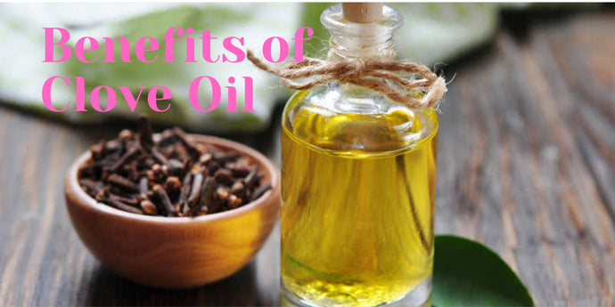 Benefits of Clove oil & Uses
