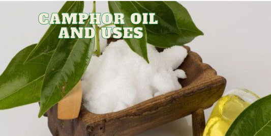 Camphor Oil and Uses - OotyMade.com