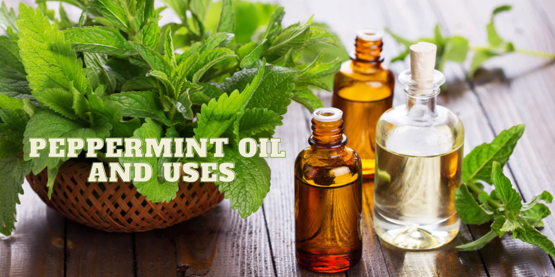 Peppermint Oil and Uses - OotyMade.com