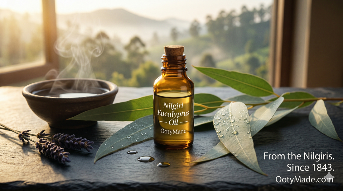 Nilgiri Oil: 12 Uses Your Grandmother Knew — And 3 Things Nobody Tells You About Buying Pure Nilagiri Thailam