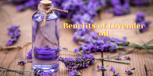 Benefits of Lavender Oil - OotyMade.com