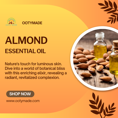 Discover the Benefits of Pure Almond Oil for Skin & Hair | Uses, Prices, and More