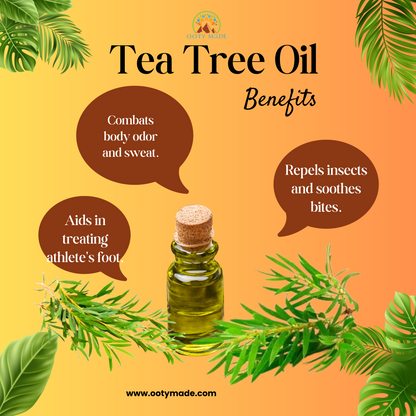 Premium Nilgiri Tea Tree Oil - Your Ultimate Solution for Clear, Radiant Skin and Lustrous Hair