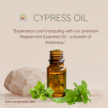 Peppermint Essential Oil for Hair growth, Digestion, and Pain relief