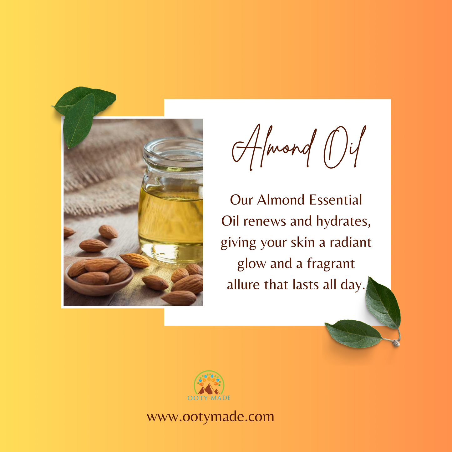 Discover the Benefits of Pure Almond Oil for Skin & Hair | Uses, Prices, and More