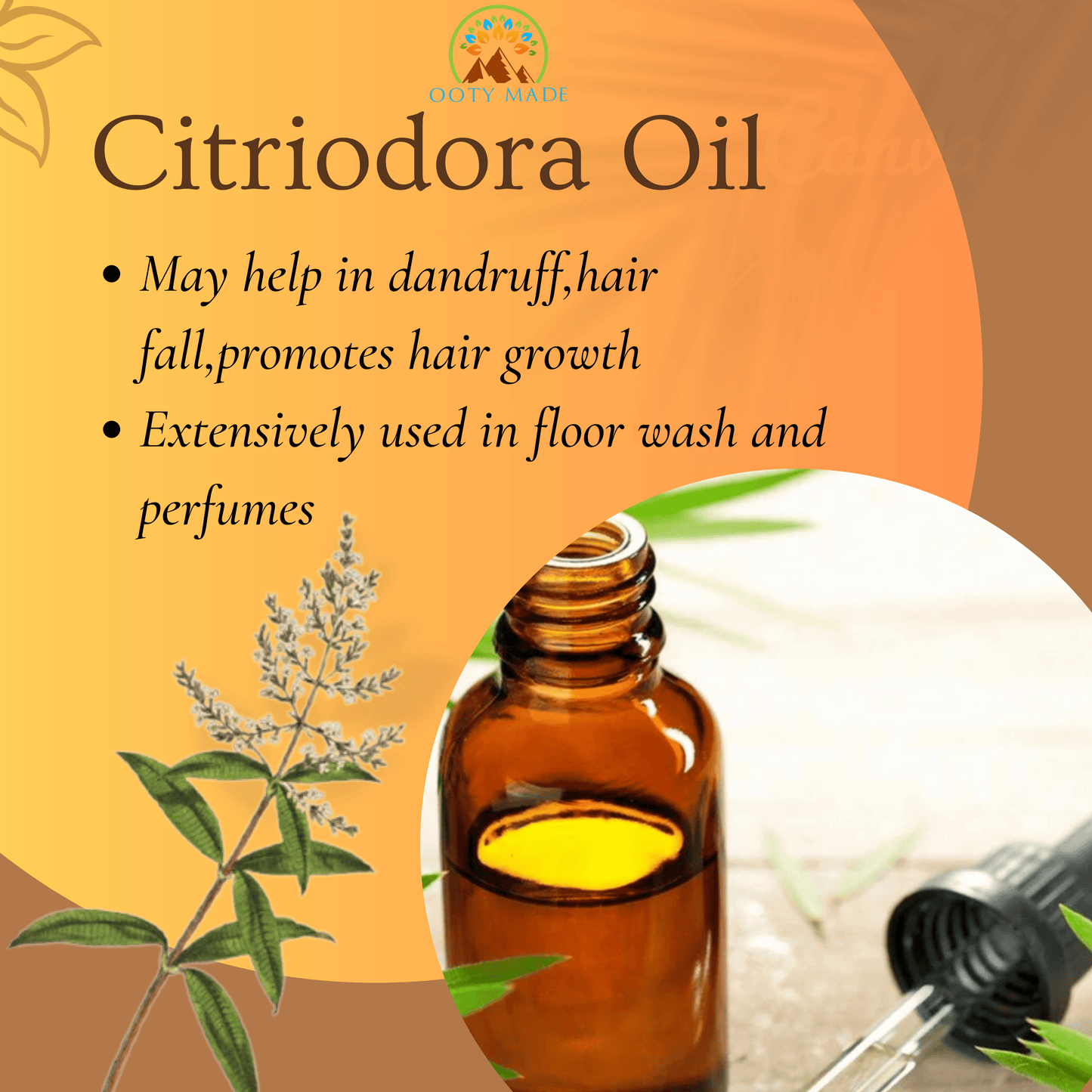 Citriodora Essential Organic Oil OotyMade.com