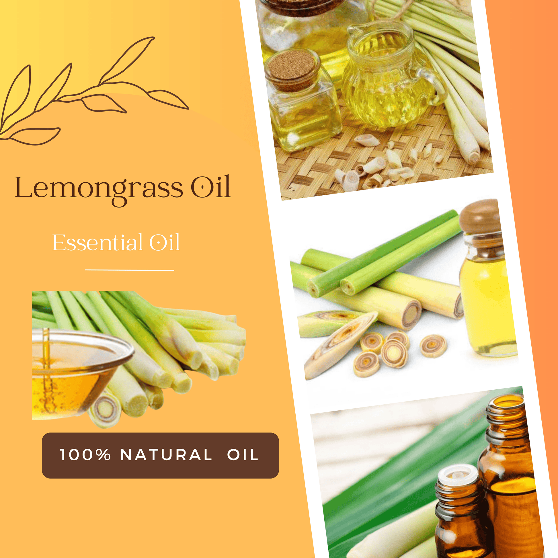 Organic Lemongrass Essential Oil In India OotyMade.com