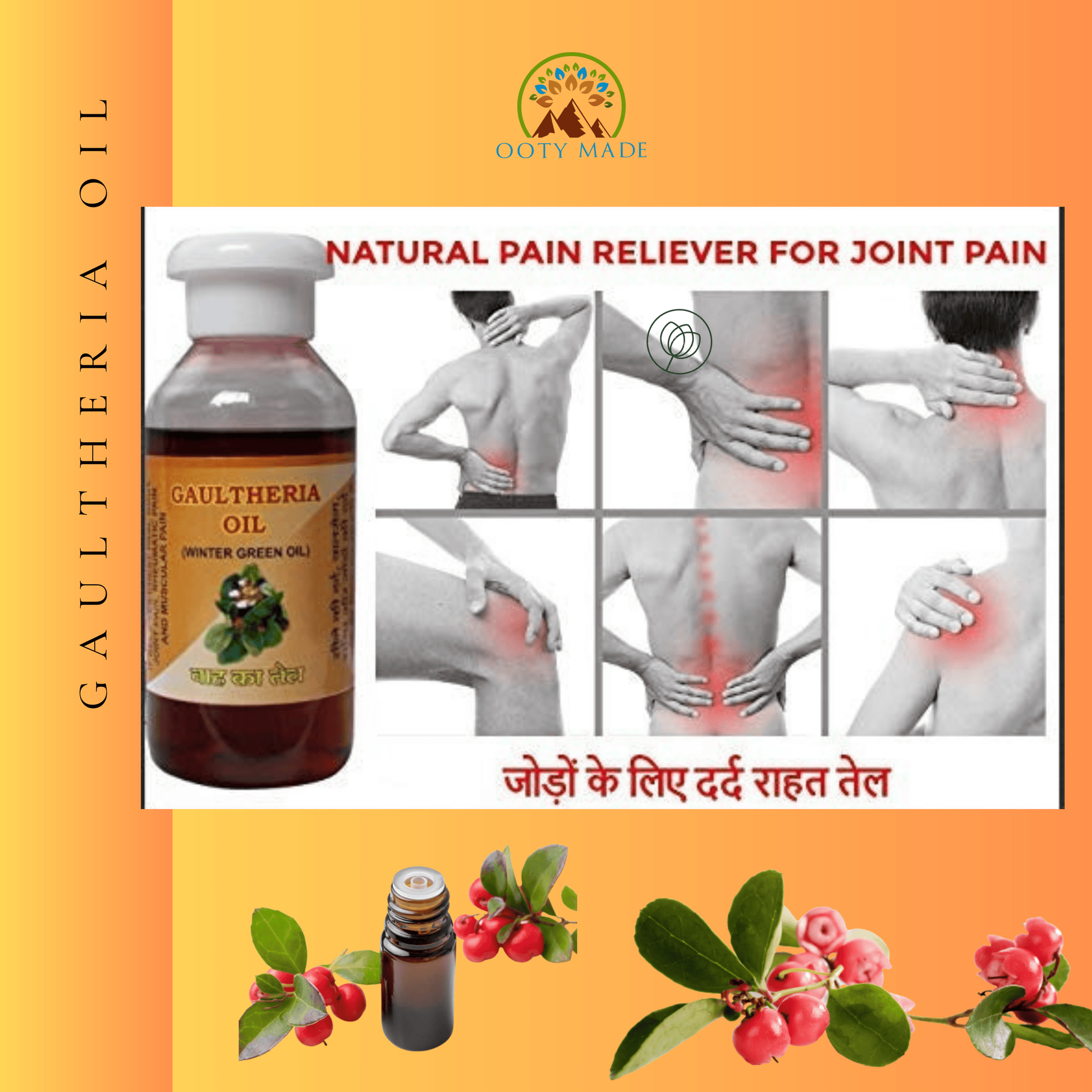 Gaultheria Wintergreen Joint Pain Oil OotyMade.com