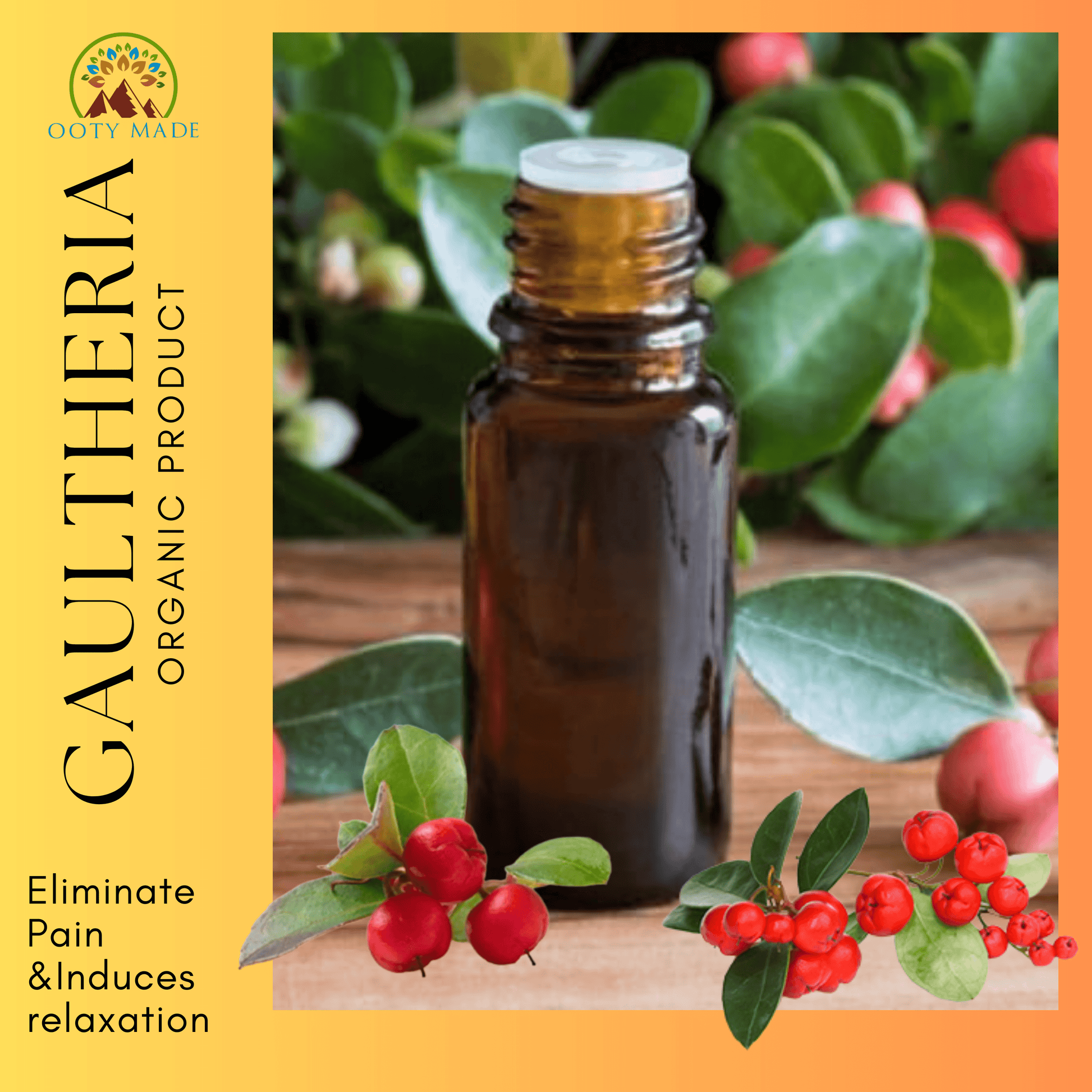 Gaultheria Wintergreen Joint Pain Oil OotyMade.com