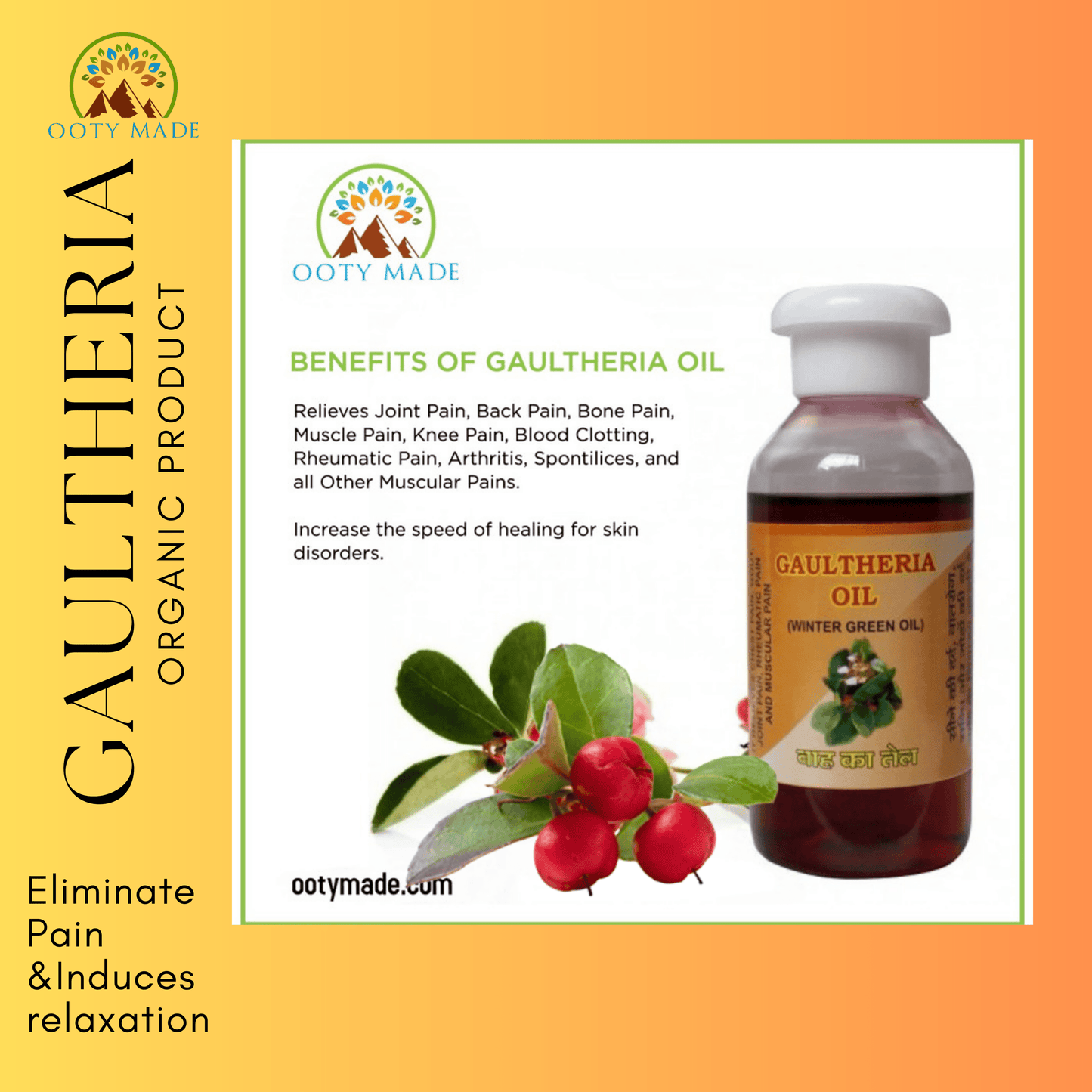 Gaultheria Wintergreen Joint Pain Oil OotyMade.com