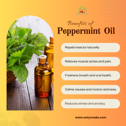 Peppermint Essential Oil for Hair growth, Digestion, and Pain relief