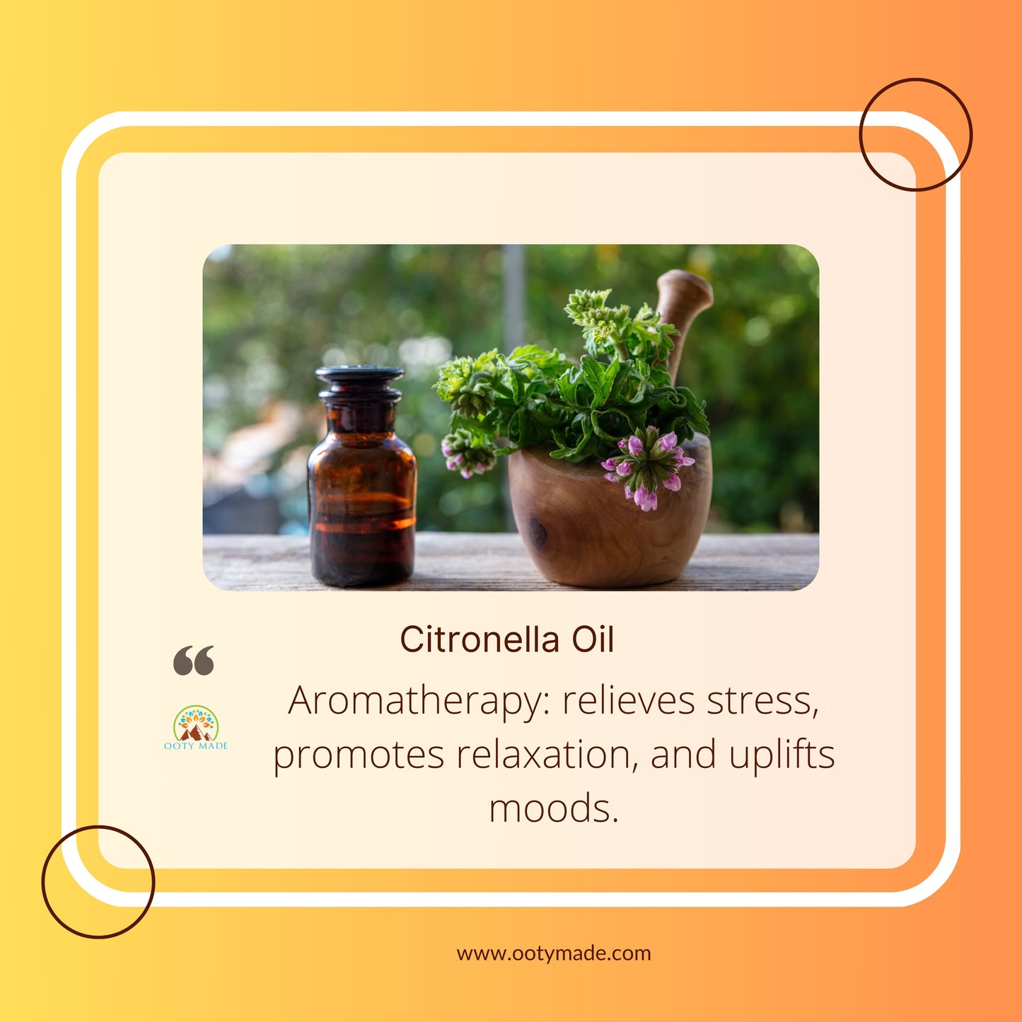 Pure Citronella Oil - Nature's Guardian: Aromatic Mosquito Repellent