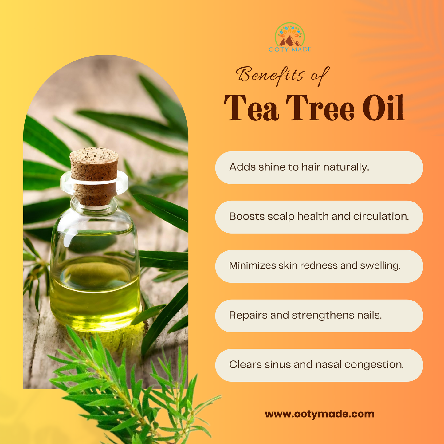 Premium Nilgiri Tea Tree Oil - Your Ultimate Solution for Clear, Radiant Skin and Lustrous Hair