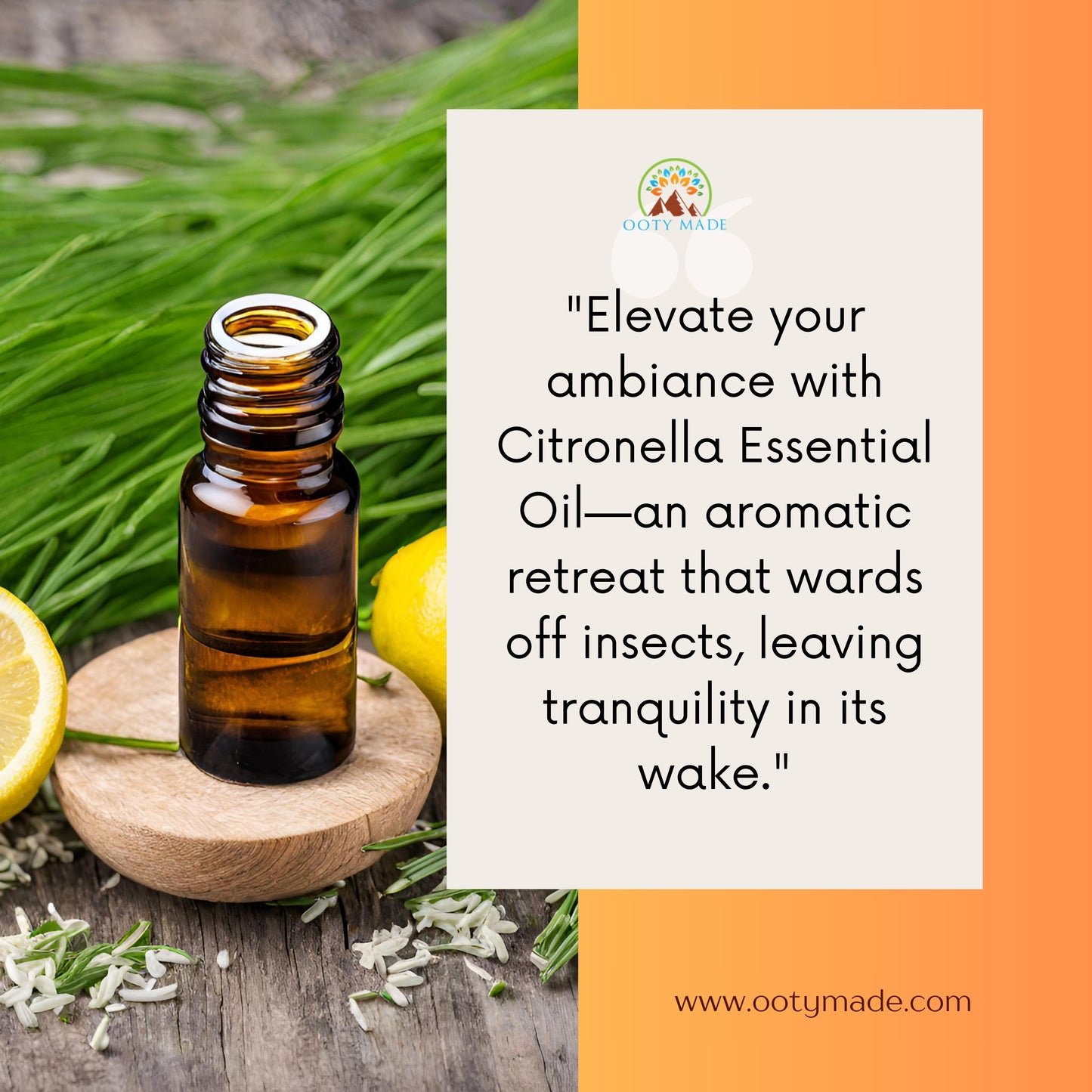 Pure Citronella Oil - Nature's Guardian: Aromatic Mosquito Repellent