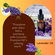 Load image into Gallery viewer, Luxe Lavender: Pure Lavender Essential Oil for Hair and Skin Care - 100% Natural Aromatherapy Elixir
