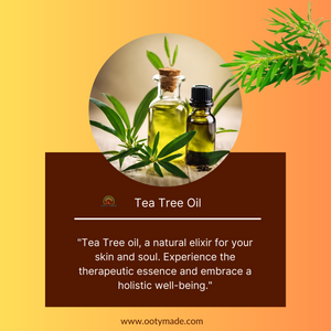 Premium Nilgiri Tea Tree Oil - Your Ultimate Solution for Clear, Radiant Skin and Lustrous Hair
