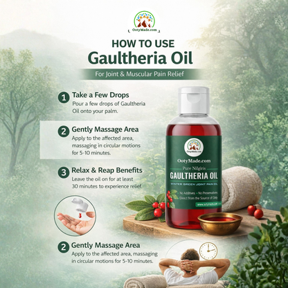 OotyMade Pure Nilgiris Gaultheria Oil (Wintergreen Oil) – Natural Joint & Muscle Massage Oil | 100% Pure | External Use Only OotyMade.com