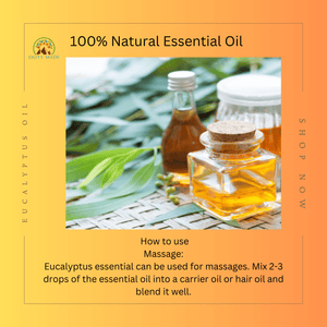 nilgiri oil uses