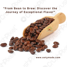 Load image into Gallery viewer, Premium Roasted Coffee Beans at Affordable Prices | Arabica Coffee Variety | Coffee and Tea Leaf OotyMade.com
