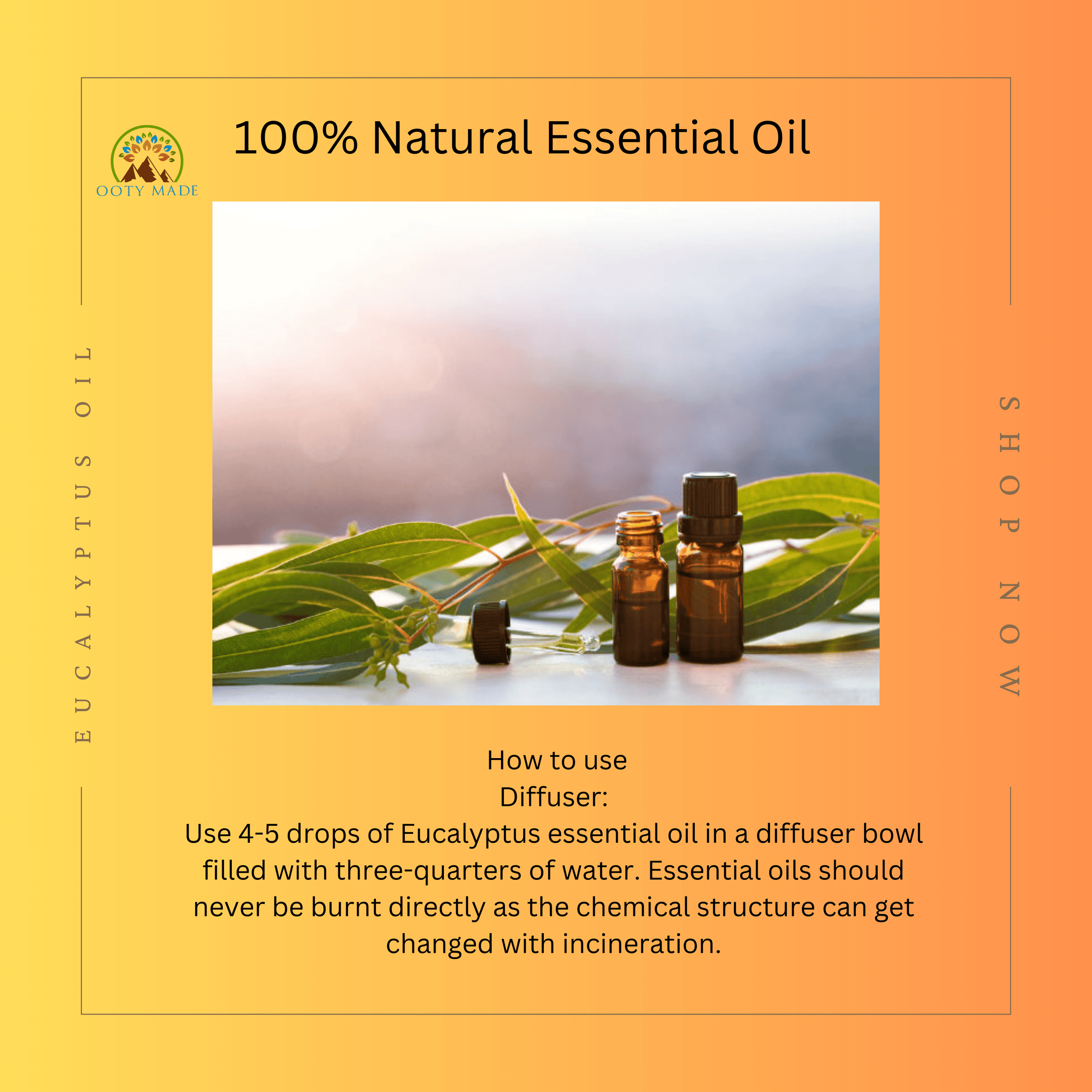 nilgiri oil,nilgiri thailam