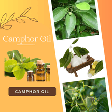 Load image into Gallery viewer, Camphor Essential Oil for skin at best price OotyMade.com
