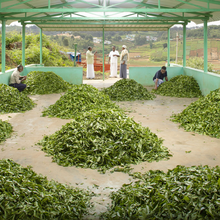 Load image into Gallery viewer, Nilgiris regular Tea From Ooty Tea Factory OotyMade.com
